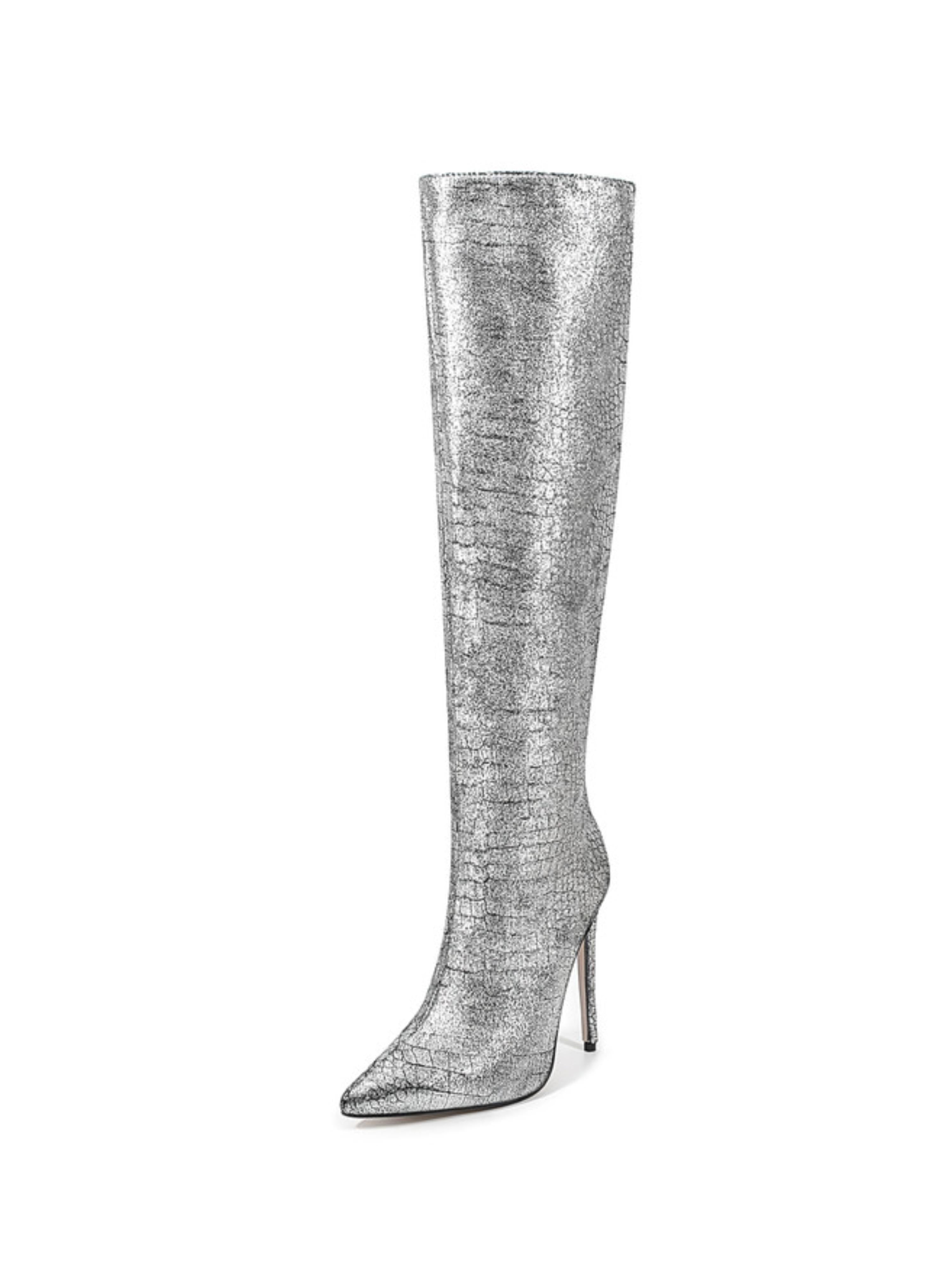 Trendy Silver Pointed Toe Embossed Tall Boots for Women