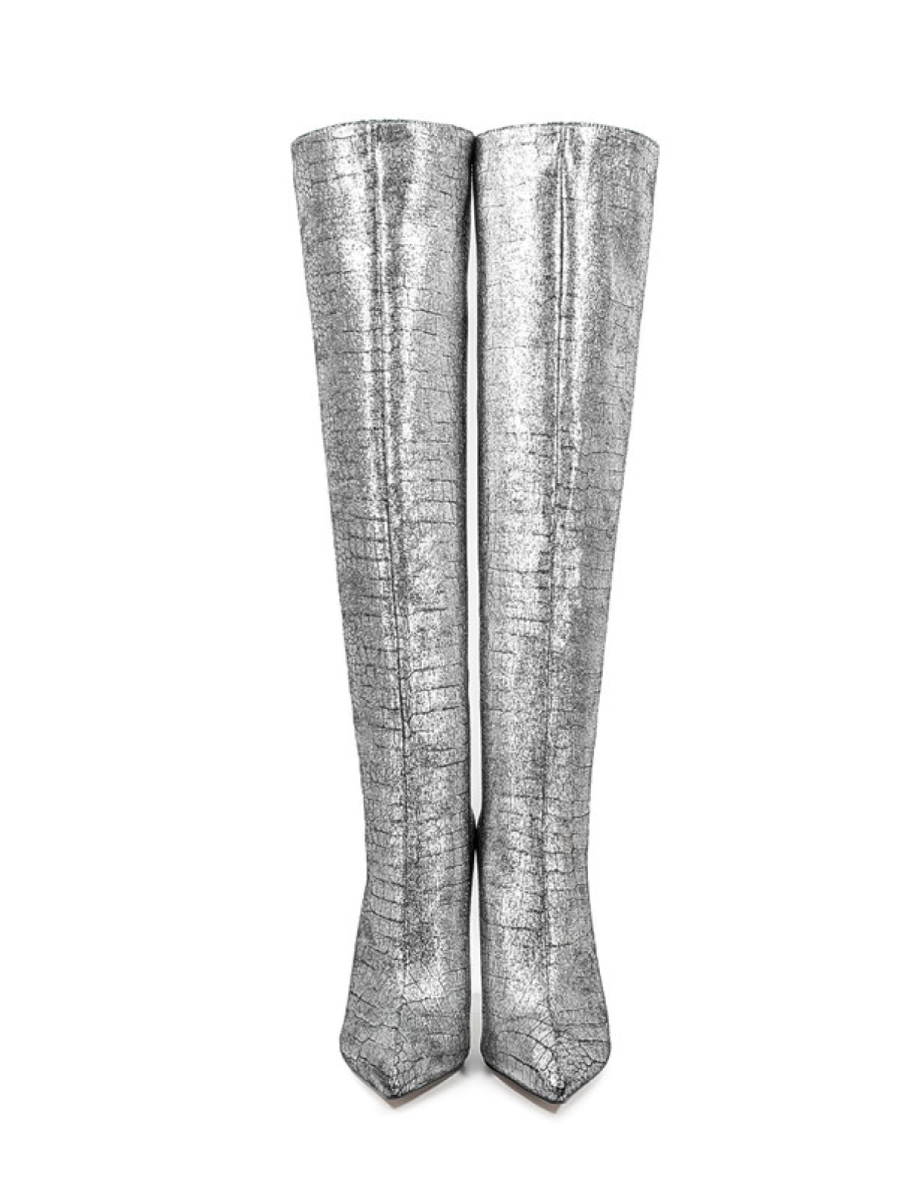 Trendy Silver Pointed Toe Embossed Tall Boots for Women